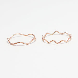 The 2 Wave Twist Rings