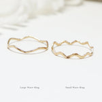 The 2 Wave Hammered Rings